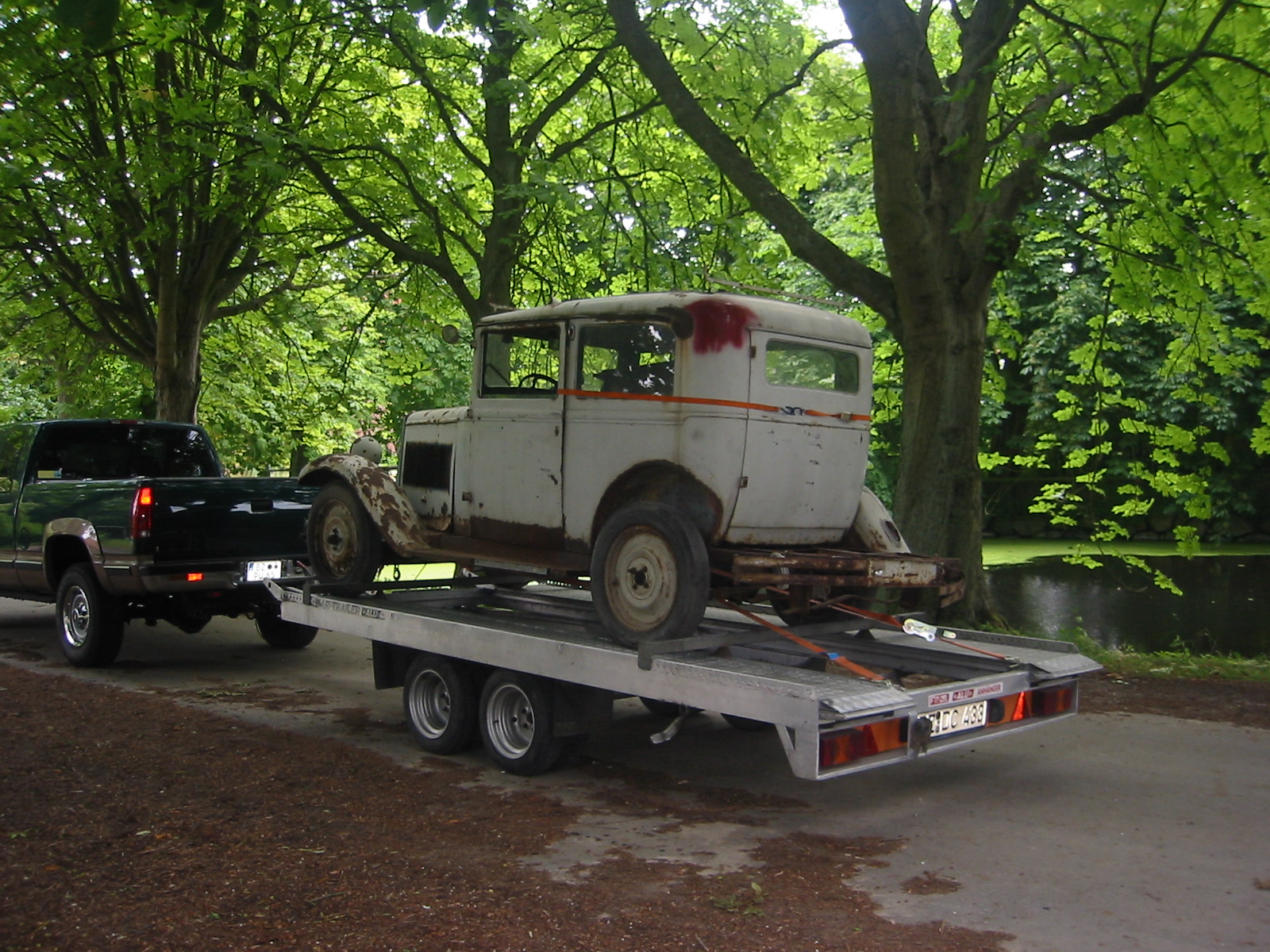 2003 zum schlachten fürs Hinterteil geborgen